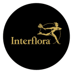 Rabatkoder til Interflora